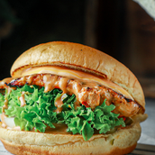 Grilled Chicken Burger
