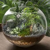 Classic Terrarium