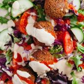 Falafel Wrap