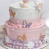Butterfly Cake 02 