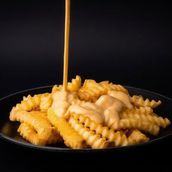 Cheese Fries