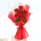 Enchanting Red Glory 