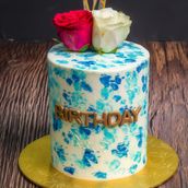 Blue Pinto Birthday