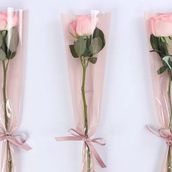 Pink Roses Distributions