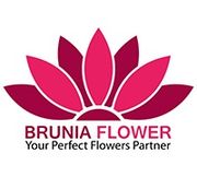 Brunia Flowers
