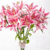 Lilium Vase 
