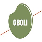 Gboli