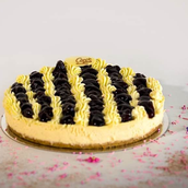 Blueberry Cheese Cake