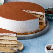 tiramisu cake