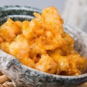 Rock Shrimps