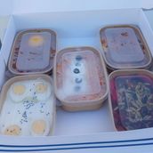 Taghmisat Box 