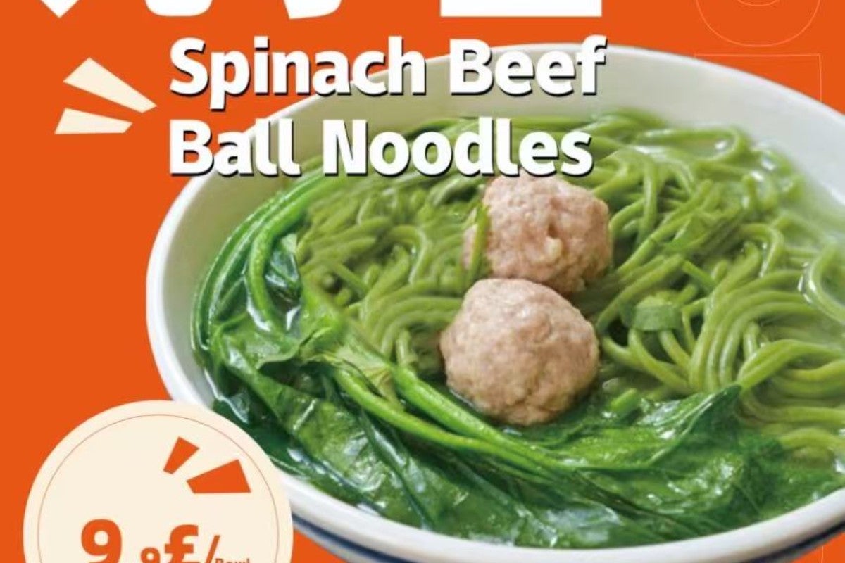 Hand-made Spinach Meatball Noodles 手工菠菜丸子面