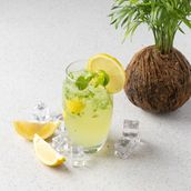 Lemon Mint Mojito