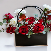 Black Bag V