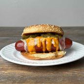 Hotdog Burger