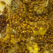 Mandi meat 