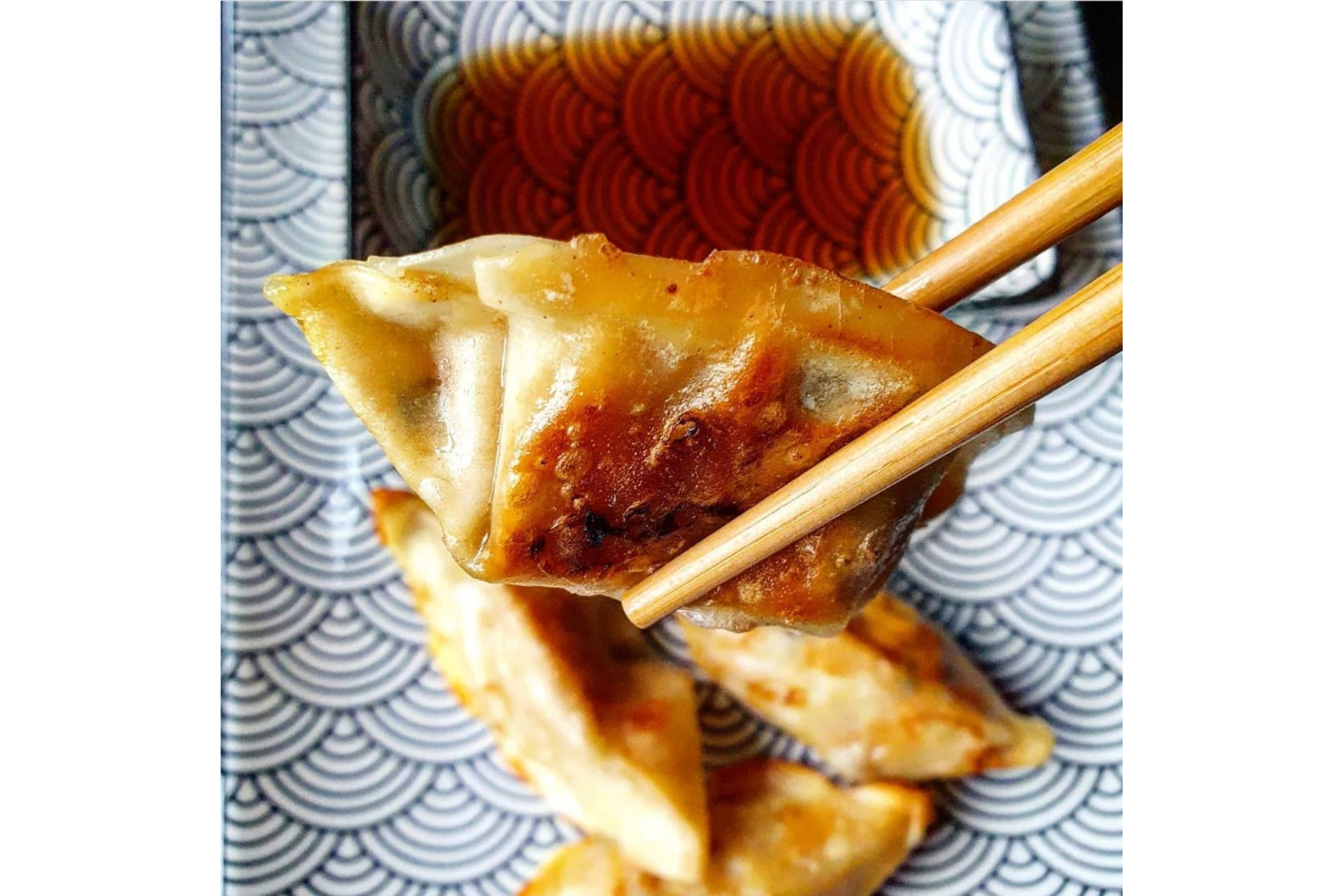 Pan Fried Vegetarian Gyoza