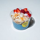 Signature Blue Bowl