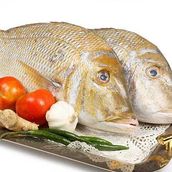 Shary Fried Meal