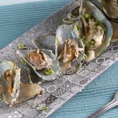 Oyster