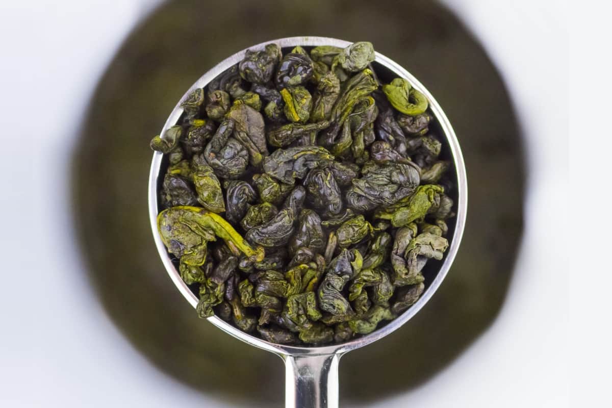 Gunpowder Green Tea