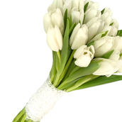 Tulip Bridal Bouquet 1