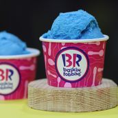 Blueberry Baskin Robbins