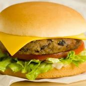 Vegetable Burger