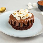 smores cake