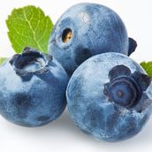 Blueberry
