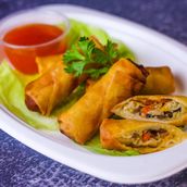 5pc Vegetable Spring Roll