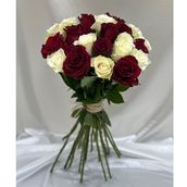 Red And White Classic