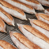 Sourdough Baguette