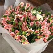 10 Alstroemerias 