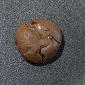 Double Chocolate Cookies