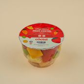 Fruit Coctel Cut