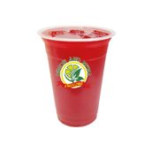 Shami Pomegranate Juice