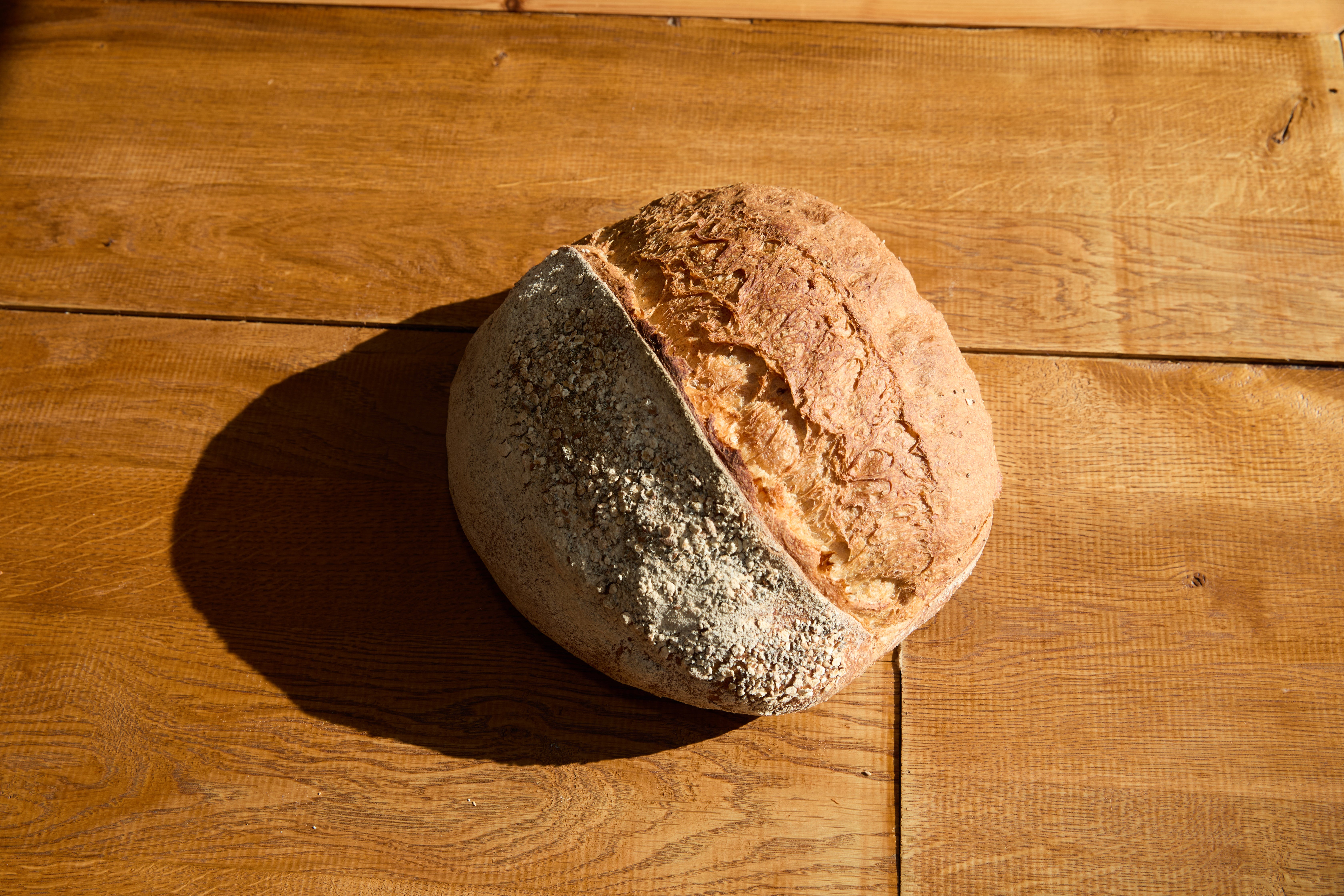 House -  Sourdough