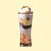 Mix Fruit Avil Falooda