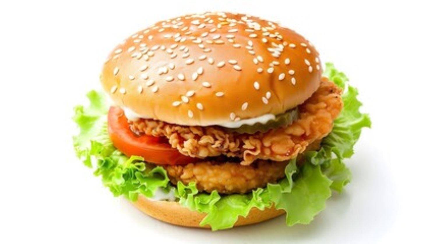 Double Plain Chicken Burger