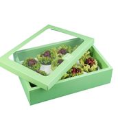 Vine Leaves Cups
