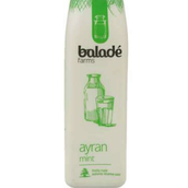 Balade Ayran Mint