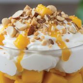 Mango Fiesta