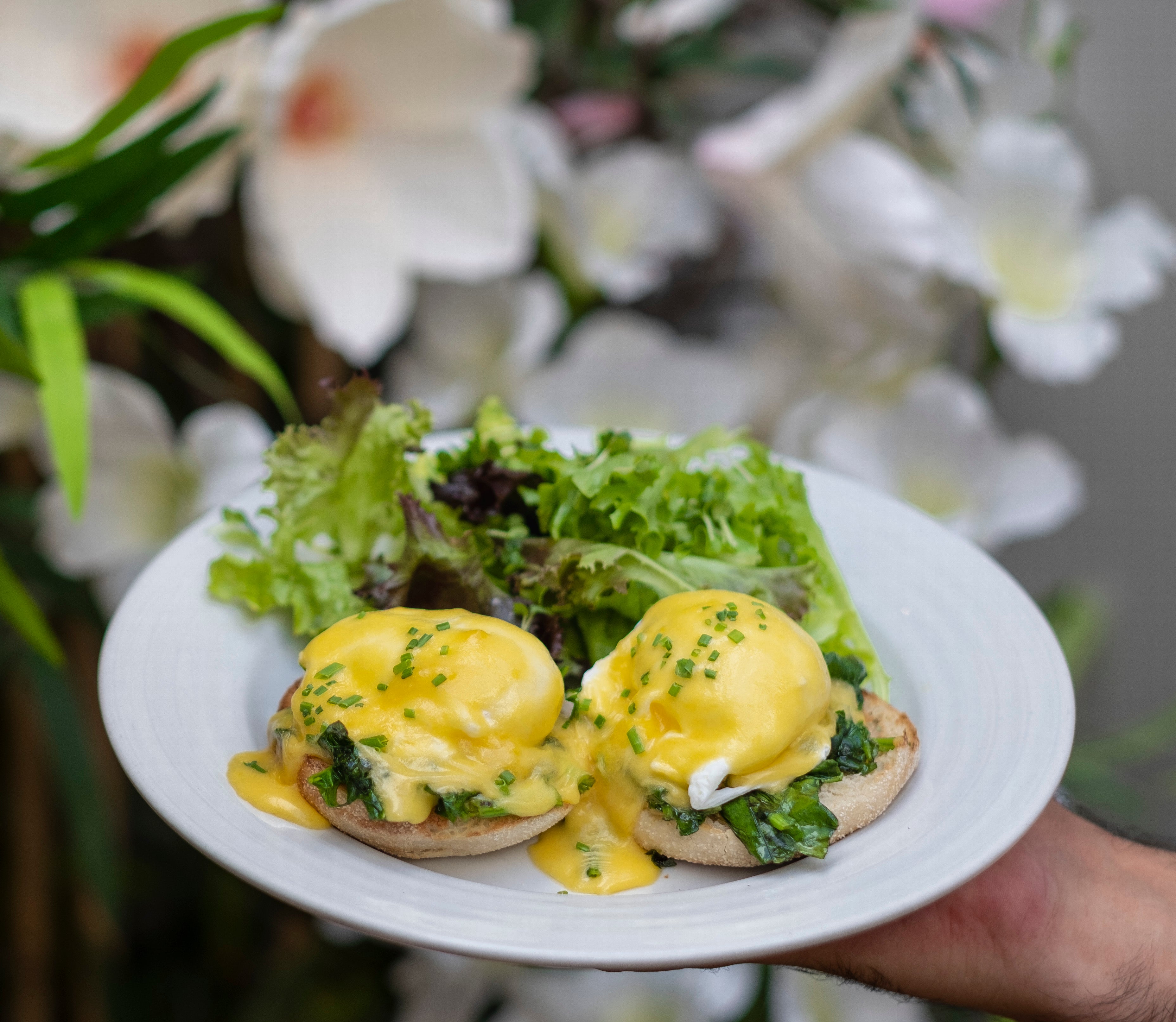 Egg's Florentine