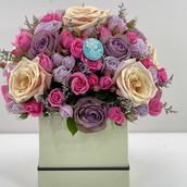 Box Arrangement 0025
