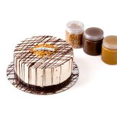 Mini Memories Ice Cream Cake