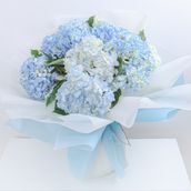 Heavenly hydrangea bouquet