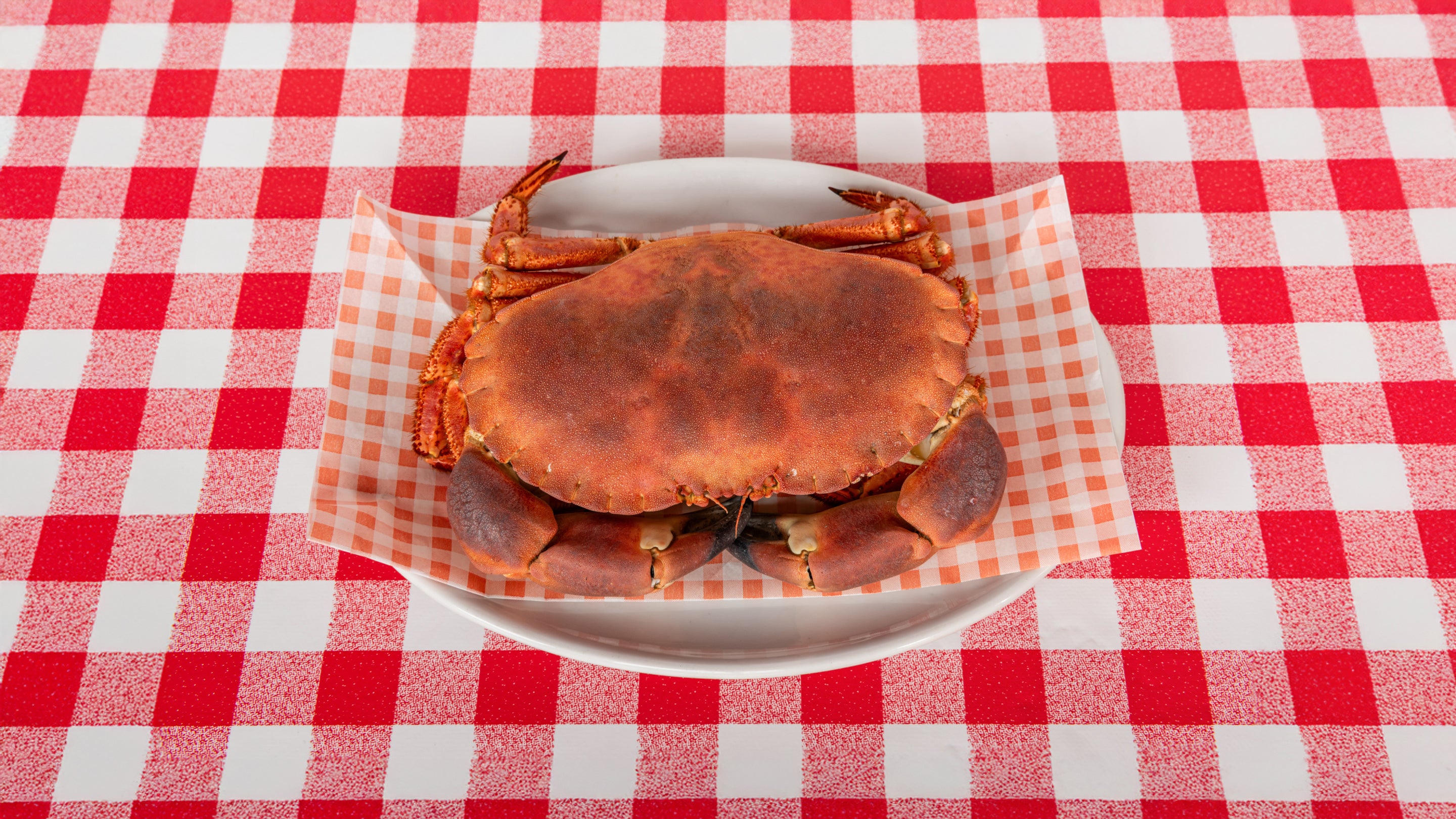 Brown Crab