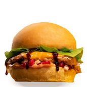 Pomegranate Burger (Chicken/Beef)