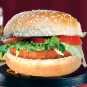 Vegetable Burger